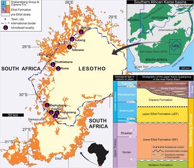 Theropod Tridactyl Tracks Across the Triassic–Jurassic Boundary in Southern Africa: Implications for Pedal Morphology Evolution